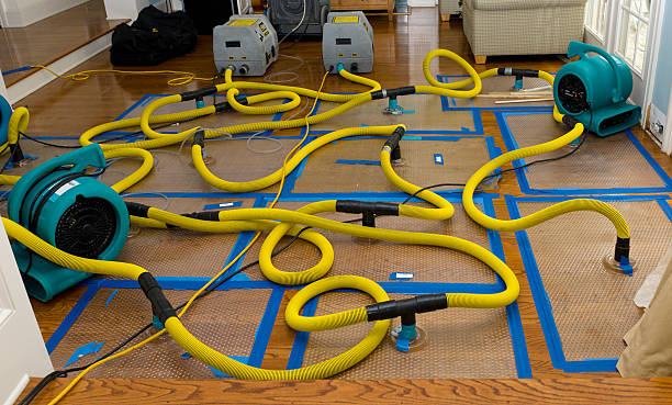 Professional Water Extraction technician working in Santa Monica, CA